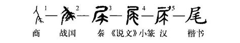 尾一意思|细说汉字：尾